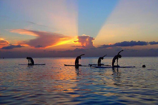 Yoga Paddle Aqua Zen, yoga on a floating carpet in connection with nature! - Key Points