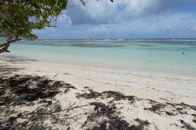 Yoga Paddle Aqua Zen, yoga on a floating carpet in connection with nature! - An Unusual Way to Practice Yoga in Guadeloupe