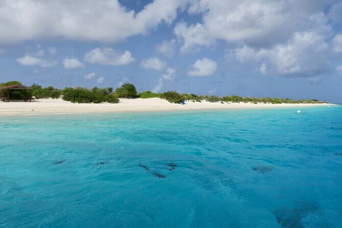 Yoga Session at Pink Beach - Key Points