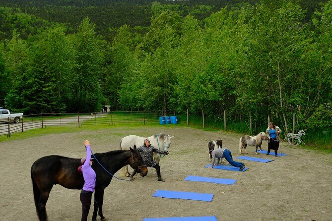 Yoga with Horses - A Calm Approach to Wellness in Skagway