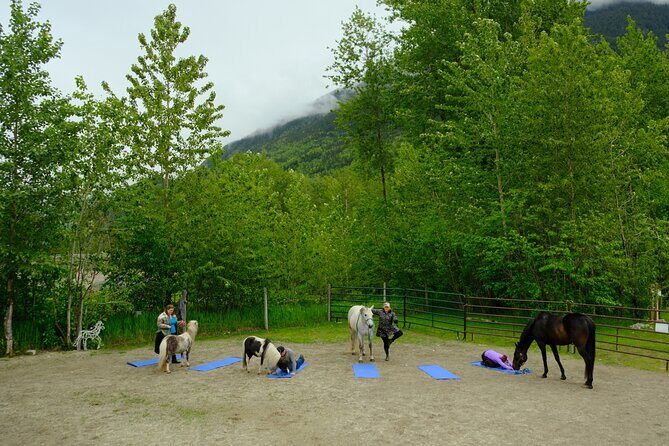 Yoga with Horses - The Itinerary: What to Expect