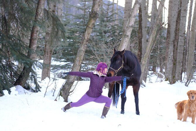 Yoga with Horses - Practical Details and Tips