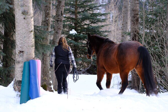 Yoga with Horses - Who Will Love This Tour?