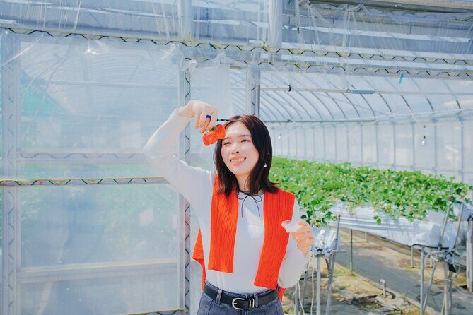 YokaBus Fukuoka Strawberry Picking and Sakura Dyeing Experience - Final Thoughts