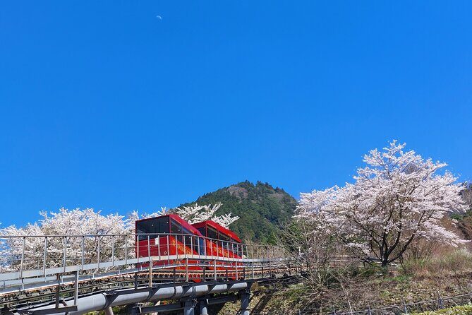 YokaBus Hikosan Jingu and Showa Era Market Tour - Who Will Love This Tour?