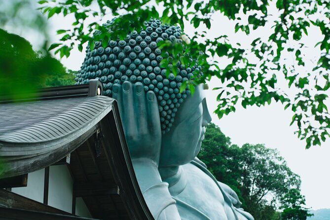 YokaBus Nanzoin Bronze Buddha, Itoshima Totoro Forest&Futamigaura - A Deep Dive into the Itinerary
