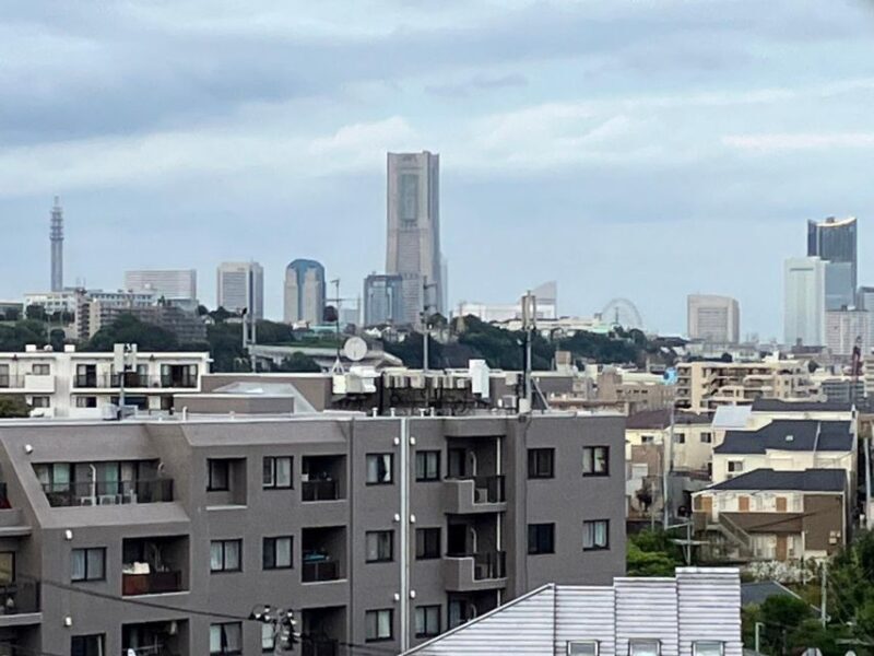 Yokohama Full Day Tour with a Local Expert Guide - The Value of a Guided Tour