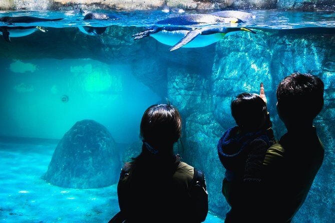 Yokohama Private Intro Tour with a Local, Flexible & Custom - Why Choose This Tour for Your Yokohama Visit?