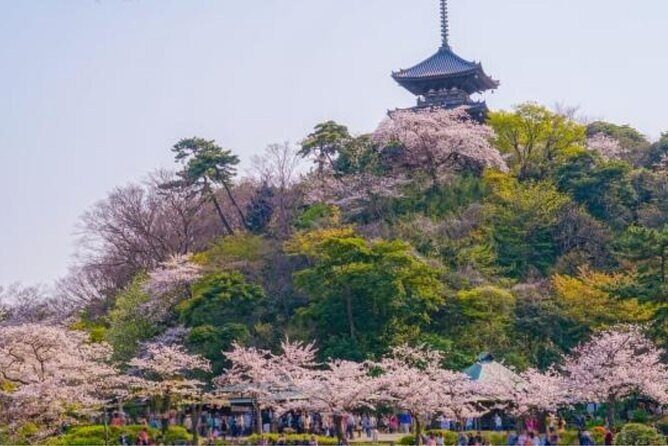 Yokohama Private Intro Tour with a Local, Flexible & Custom - What Sets This Tour Apart