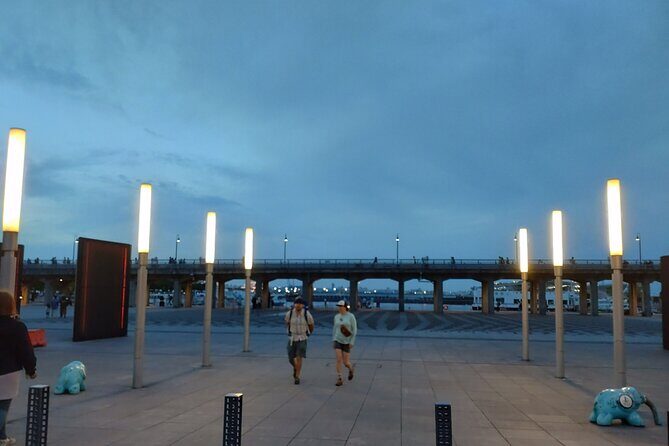 Yokohama Private Tour -Night View- - FAQs