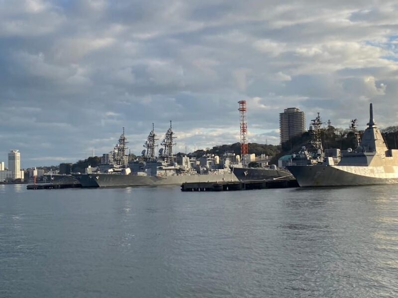 Yokosuka: Boat Trip to Natural Island and Naval Port Cruise - Lunch at the Port Market: A Feast of Local Flavors