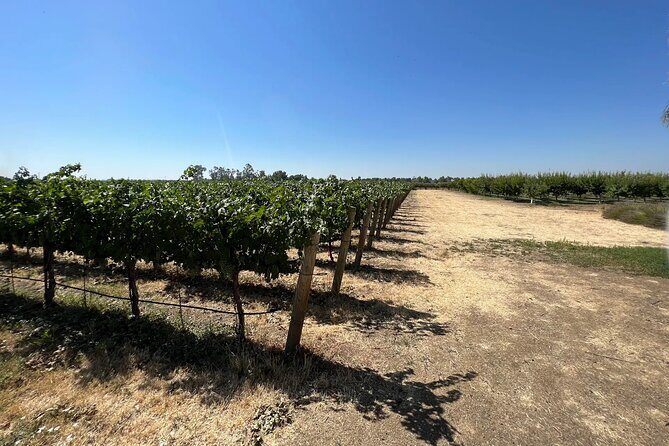 Yolo County Explorer: Culinary & Cultural Audio Tour - Key Points