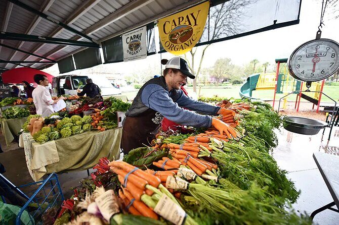 Yolo County Explorer: Culinary & Cultural Audio Tour - What to Expect from the Experience
