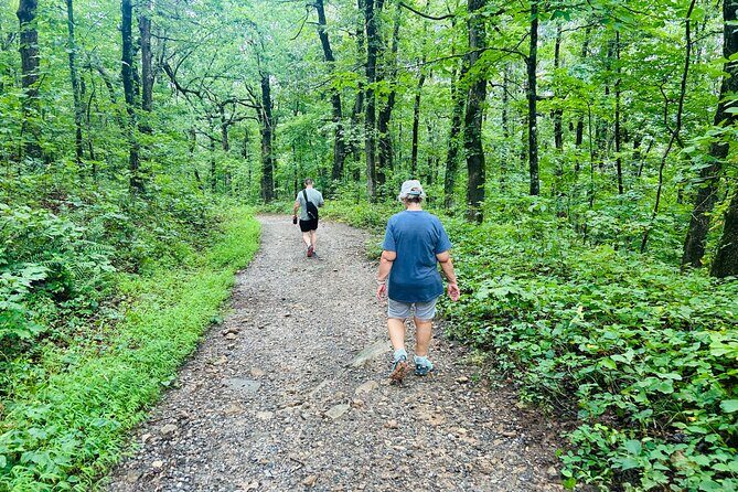 Yonah Mountain Hike Private Tour in Georgia - Transportation and Practicalities