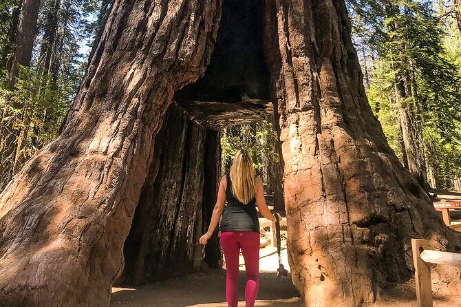 Yosemite 3-Day Camping Adventure from San Francisco - The Itinerary: What to Expect