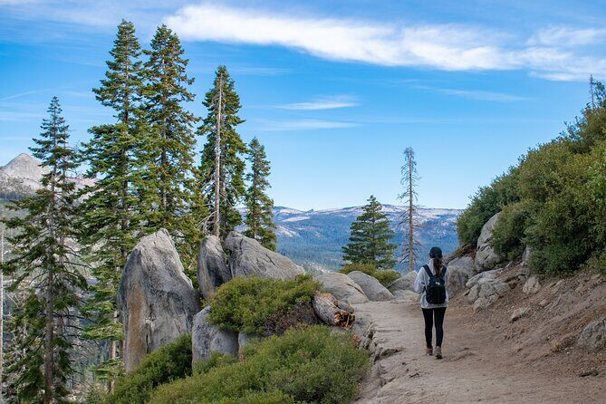 Yosemite 3-Day Lodging Adventure from San Francisco - Introduction: A Genuine Yosemite Experience That Fits Your Schedule