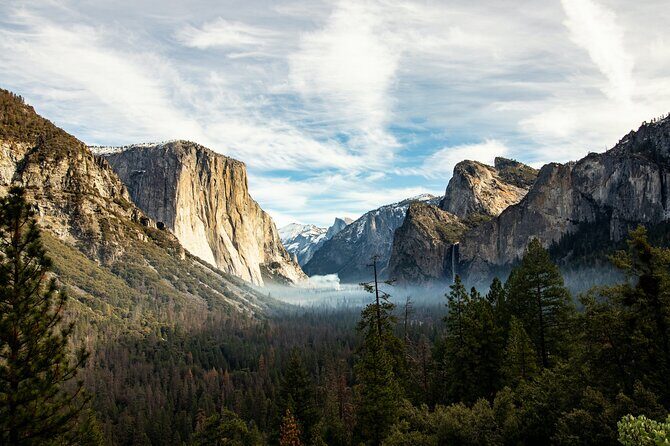 Yosemite Day Tour from San Francisco - What Reviews Tell Us: Honest Perspectives