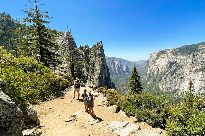 Yosemite Family Explorers - Customizable Private Tour - Who Should Consider This Tour?