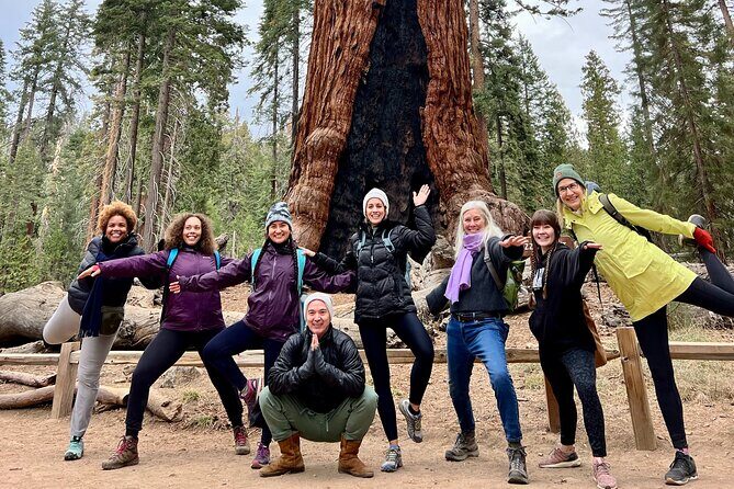 Yosemite Full Day Private Tour - What’s Included and What’s Not