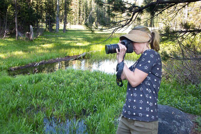 Yosemite Full Day Private Tour - The Experience from Travelers’ Perspectives