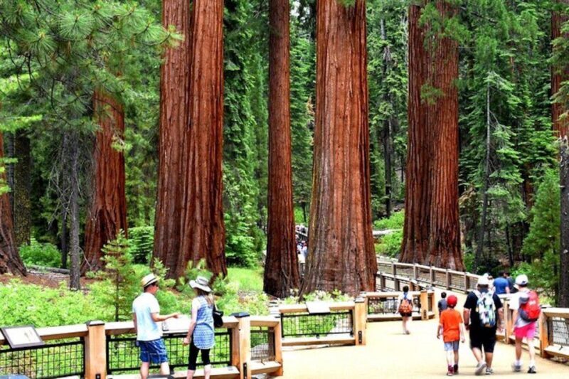 Yosemite: Full-Day Tour with Lunch and Hotel Pick-up - Authentic Experiences from Other Travelers