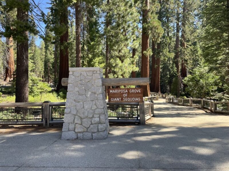 Yosemite, Giant Sequoias, Private Tour from San Francisco - A Detailed Look at the Yosemite Private Tour Experience