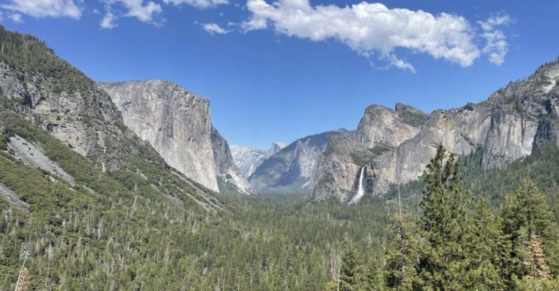 Yosemite, Giant Sequoias, Private Tour from San Francisco - The Sum Up
