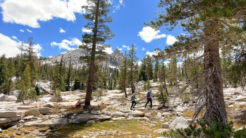 Yosemite: High Country Explorer - Private Hiking Tour - Who Is This Tour Best For?