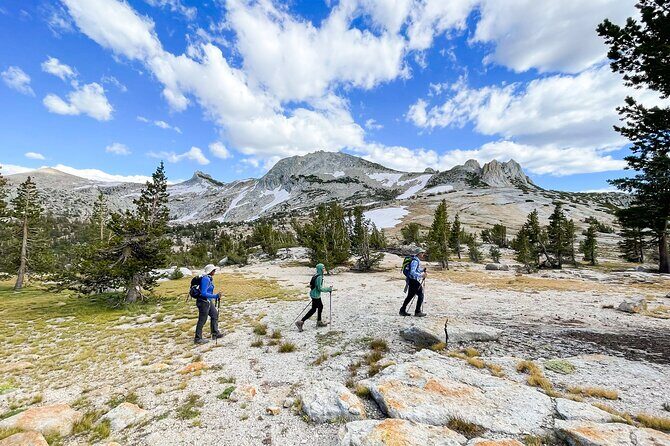 Yosemite: High Country Explorer - Private Hiking Tour - An In-Depth Look at the Yosemite High Country Experience