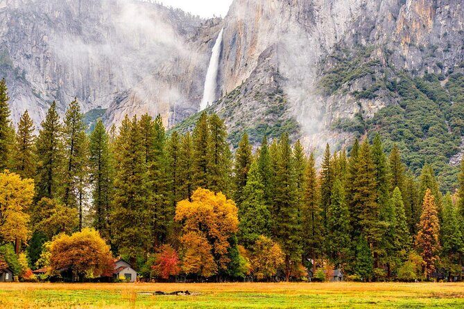 Yosemite Highlights & Giant Sequoias Day Tour from San Francisco - Yosemite Highlights & Giant Sequoias Day Tour from San Francisco — A Deep Dive