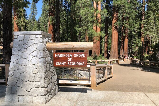 Yosemite Highlights Small Group Tour - Who Should Book This Tour?