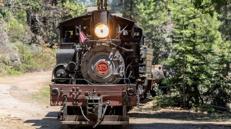 Yosemite Mountain Sugar Pine Railroad Ride with Narration - Final Thoughts: A Fun, Authentic Forest Ride