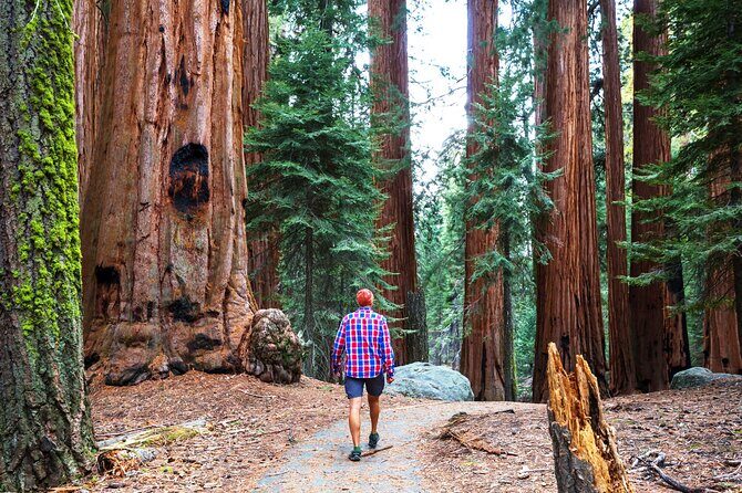 Yosemite National Park 2-Day Tour from San Francisco with Lodging - Lodging and Comfort