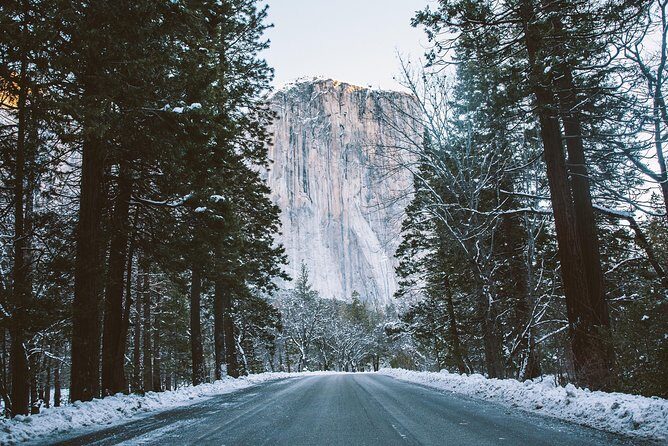 Yosemite National Park 2-Day Winter Tour from San Francisco - The Value of This Yosemite Tour
