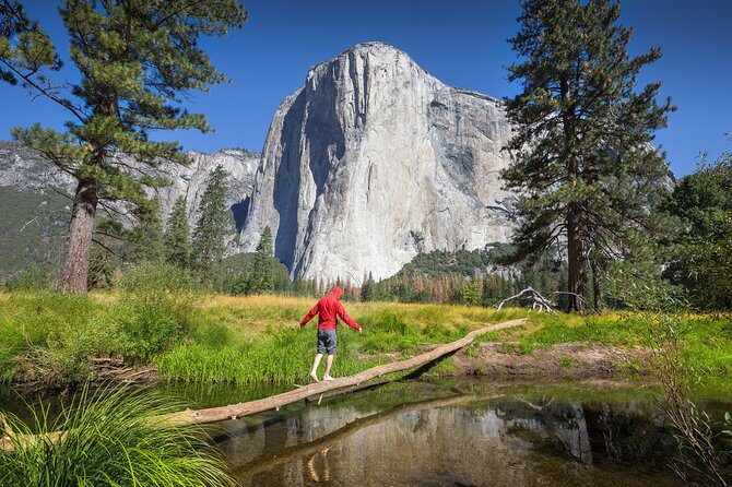 Yosemite National Park and Giant Sequoias Tour from San Jose - Yosemite Valley Exploration