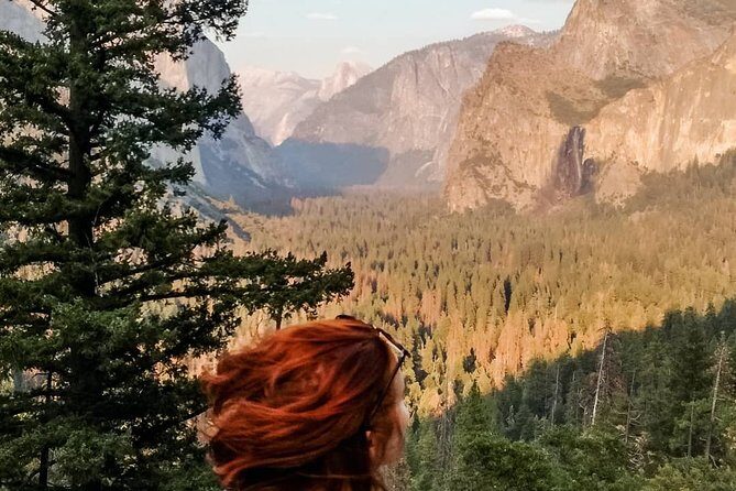 Yosemite National Park and Giant Sequoias Tour from San Jose - Timing and Flexibility