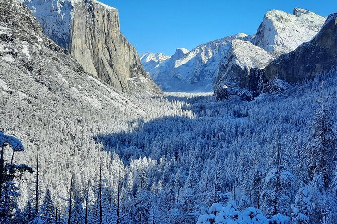 Yosemite National Park Day Tour with Optional Alcatraz - Practical Considerations: What to Expect