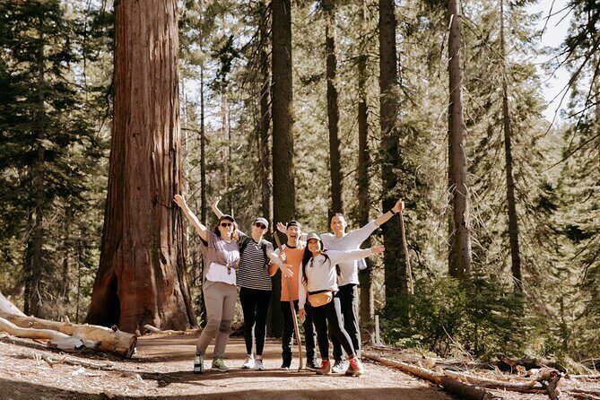 Yosemite National Park & Giant Sequoias 2-Day Semi-Guided Tour - The Itinerary Deep Dive