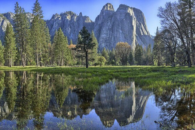 Yosemite National Park - One Way Trip - What to Expect from the Tour