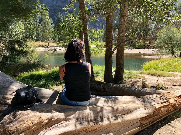 Yosemite National Park - One Way Trip - The Sum Up: Is This Tour Worth It?