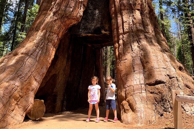 Yosemite Private Tour from San Francisco - A Closer Look at the Yosemite Private Tour from San Francisco