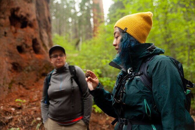 Yosemite Two Day Private Tour and Hike - Who Will Love This Tour?