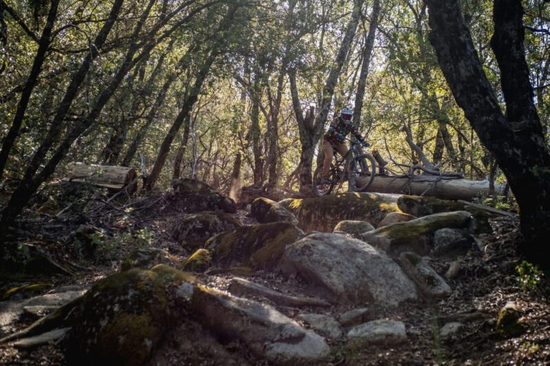 Yosemite Valley Area: Standard Bike Rental - The Sum Up