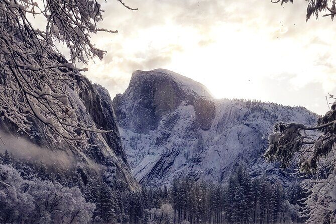 Yosemite Winter Highlights Small Group Tour - Final Thoughts