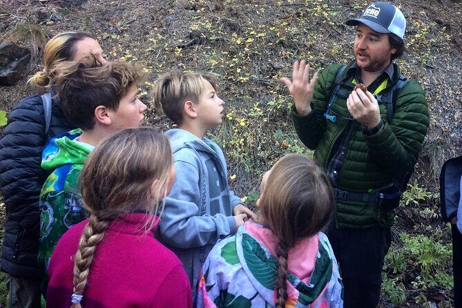 Yosemites High Country Adaptive Tour - Exploring Yosemite’s High Country: What to Expect