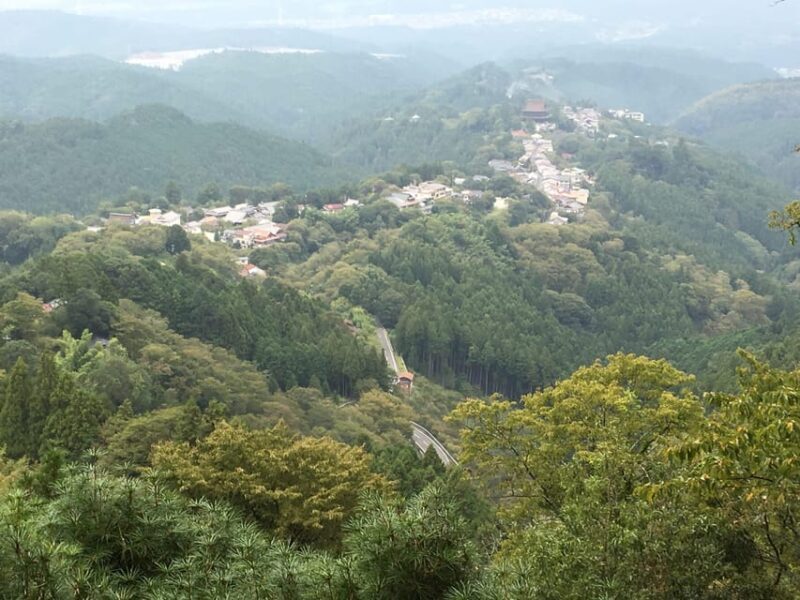 Yoshino: Private Guided Tour & Hiking in a Japanese Mountain - The Sum Up