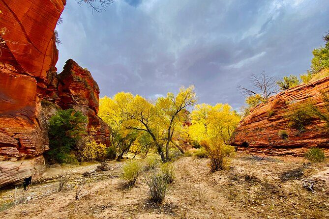 YOU DRIVE!! East Zion's Hidden Treasures - 4 Hr UTV Tour - Introduction