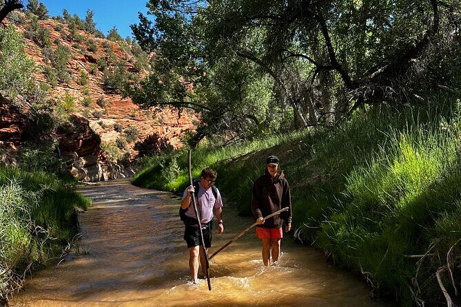 YOU DRIVE!! East Zion's Hidden Treasures - 4 Hr UTV Tour - Key Points