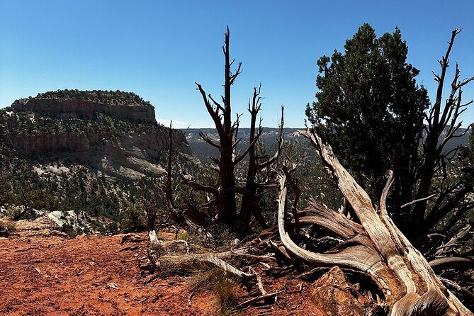 YOU DRIVE!! East Zion's Hidden Treasures - 4 Hr UTV Tour - The Sum Up