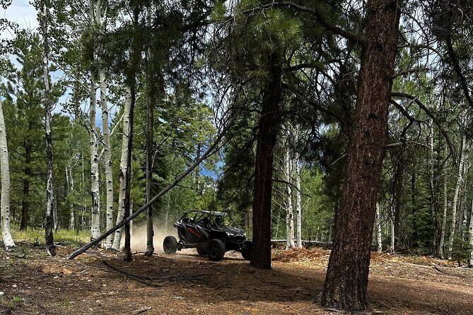 YOU DRIVE!! Iconic Grand Canyon Overlooks Full Day UTV Tour - FAQ